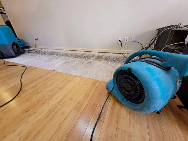 Professional Ceiling Water Damage Repair technician working in Plainfield, IL