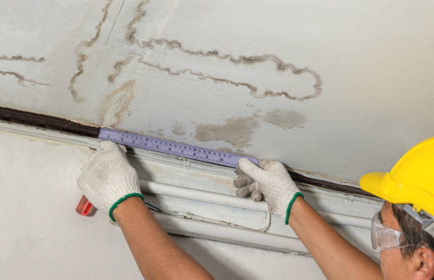 Affordable Ceiling Water Damage Repair solutions in Plainfield, IL